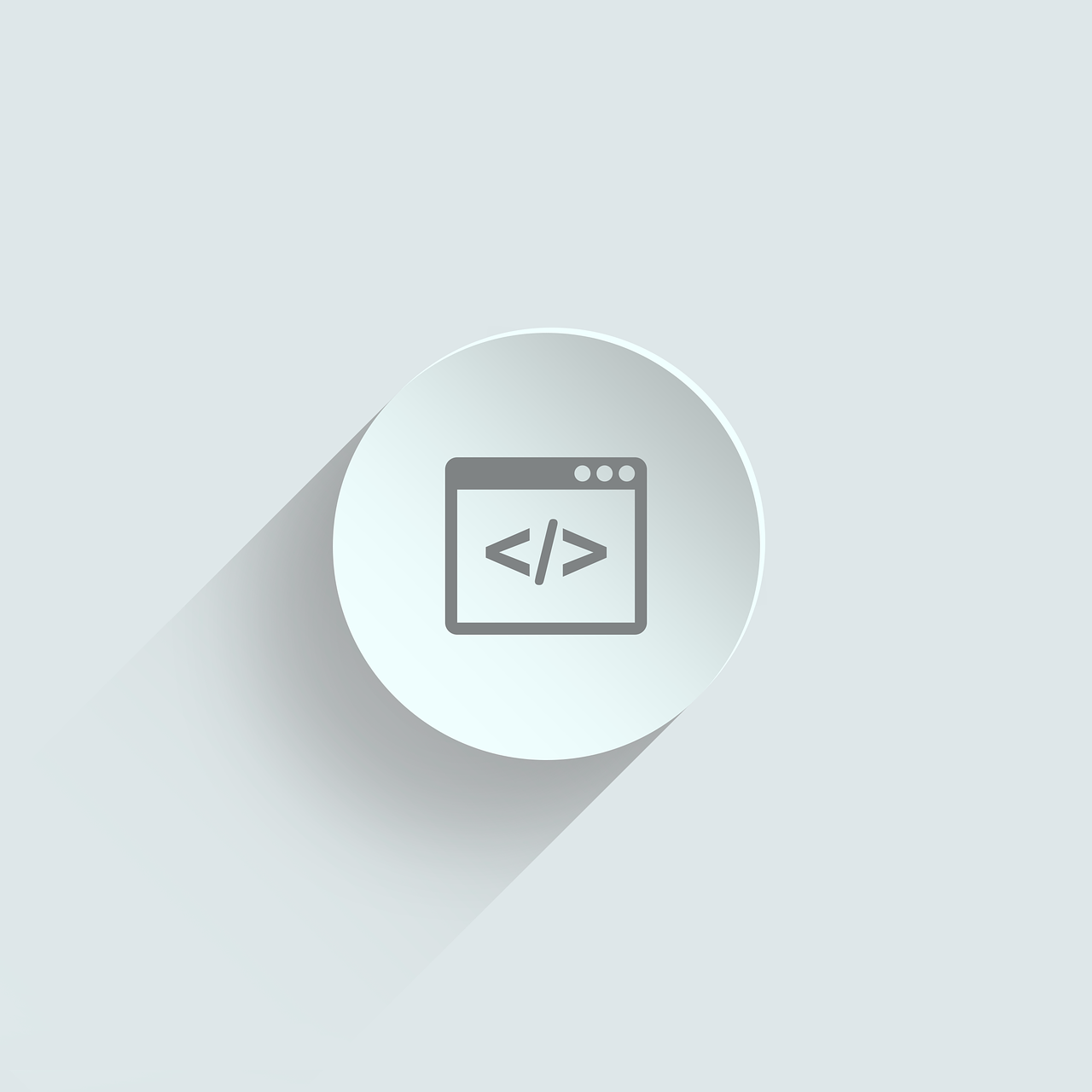 Software Development